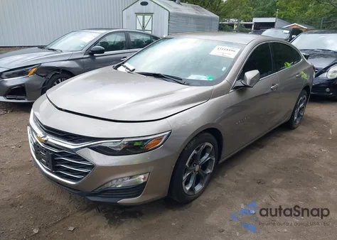 2023 Chevrolet Malibu Fwd 1Lt z USA, uszkodzony, nr VIN 1G1ZD5ST8PF228179